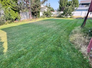Jamie D.'s turf maintenance service result