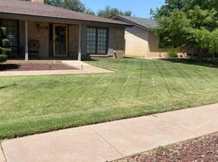 Luis G.'s lawn care services service result