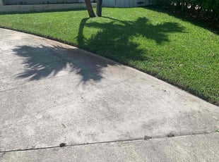Jenee D.'s turf maintenance service result