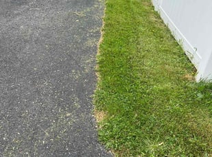 Summer D.'s lawn care service result