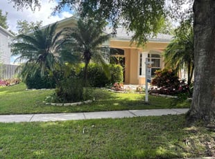 Elijah T.'s grass cutting service result