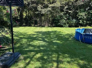 Angela J.'s lawn service service result