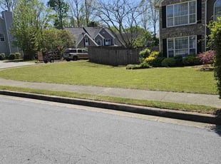 Jessica T.'s turf care service result