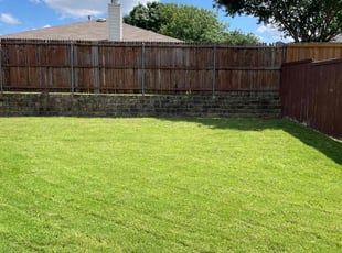 Jacquailine B.'s turf care service result