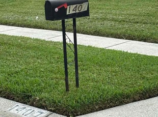 Rex C.'s turf maintenance service result