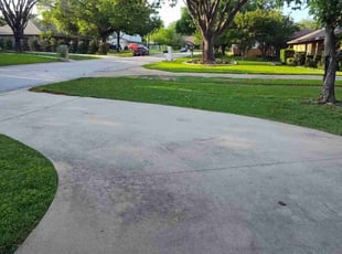 Mark B.'s grass cutting service result