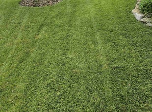 Gail G.'s landscaping services service result