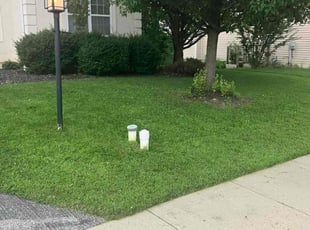 Alyssa M.'s grass maintenance service result