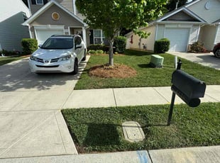 Shantel B.'s turf care service result