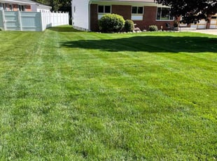 Charles G.'s turf maintenance service result