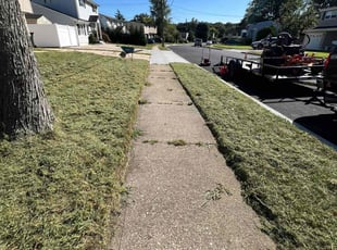 Ken P.'s lawn maintenance service result