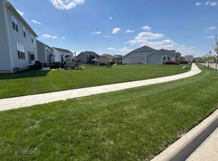 Kyle E.'s turf care service result