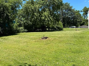 Brandon E.'s lawn care services service result