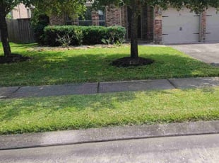 Kim T.'s lawn care service result