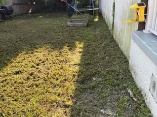 Edna P.'s lawn care services service result