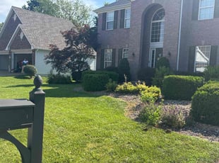 Shannon L.'s turf care service result