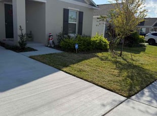 Luz M.'s turf maintenance service result