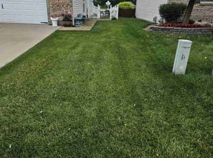 Dominique C.'s lawn maintenance service result