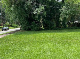 James W.'s turf care service result