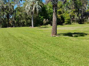 Wendell H.'s turf maintenance service result