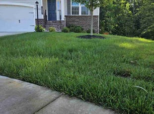 Florence N.'s gardening service service result