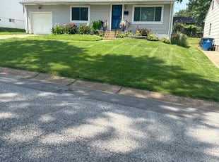 Chris J.'s lawn maintenance service result
