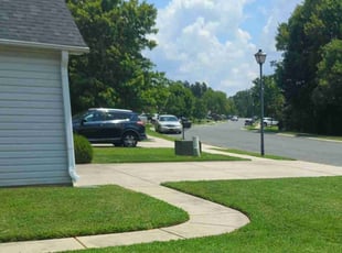 Jeannette S.'s yard service service result