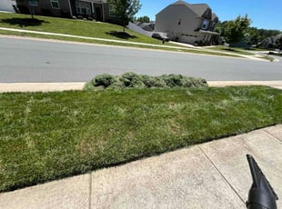 Cynthia R.'s grass cutting service result