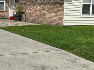 Carol S.'s lawn service service result