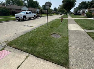 Elba S.'s turf maintenance service result