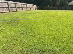 Jasmine J.'s lawn maintenance service result