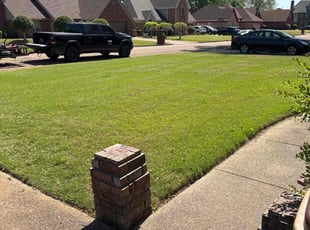 Shelia B.'s lawn care services service result