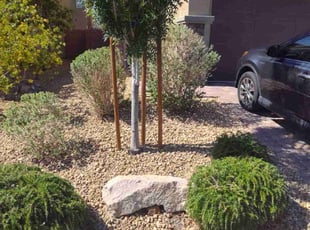 Julie D.'s Bush Trimming service result