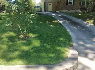 Teresa D.'s lawn care service result