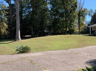 Tyler S.'s grass cutting service result