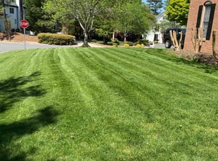 Debra S.'s lawn maintenance service result