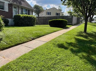 Carisa G.'s lawn care services service result