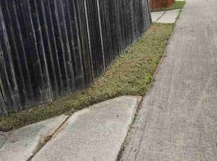 Kimberly K.'s Long Grass Cleanup service result