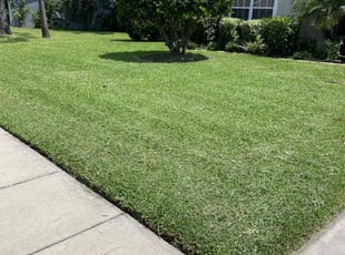 Will B.'s lawn care service result