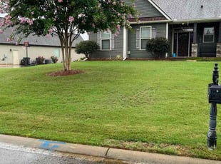 Kaitlynn W.'s lawn maintenance service result
