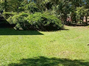 Blake M.'s turf care service result