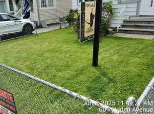 Charlotte C.'s grass cutting service result