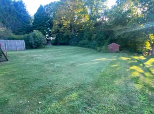 Alex G.'s lawn service service result