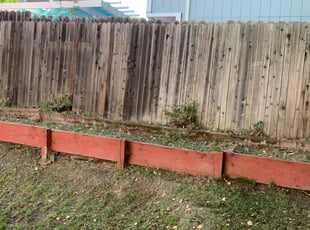 Teresita F.'s Bush Trimming service result
