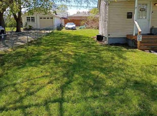 Derek M.'s turf maintenance service result