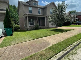 Sydney M.'s grass cutting service result