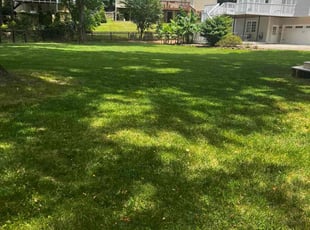 Carlito C.'s lawn service service result