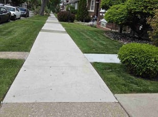 Greg R.'s lawn care service result