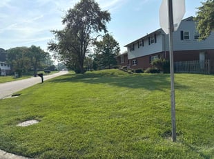 Marianna O.'s lawn maintenance service result