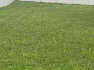 Suzanne Z.'s turf maintenance service result